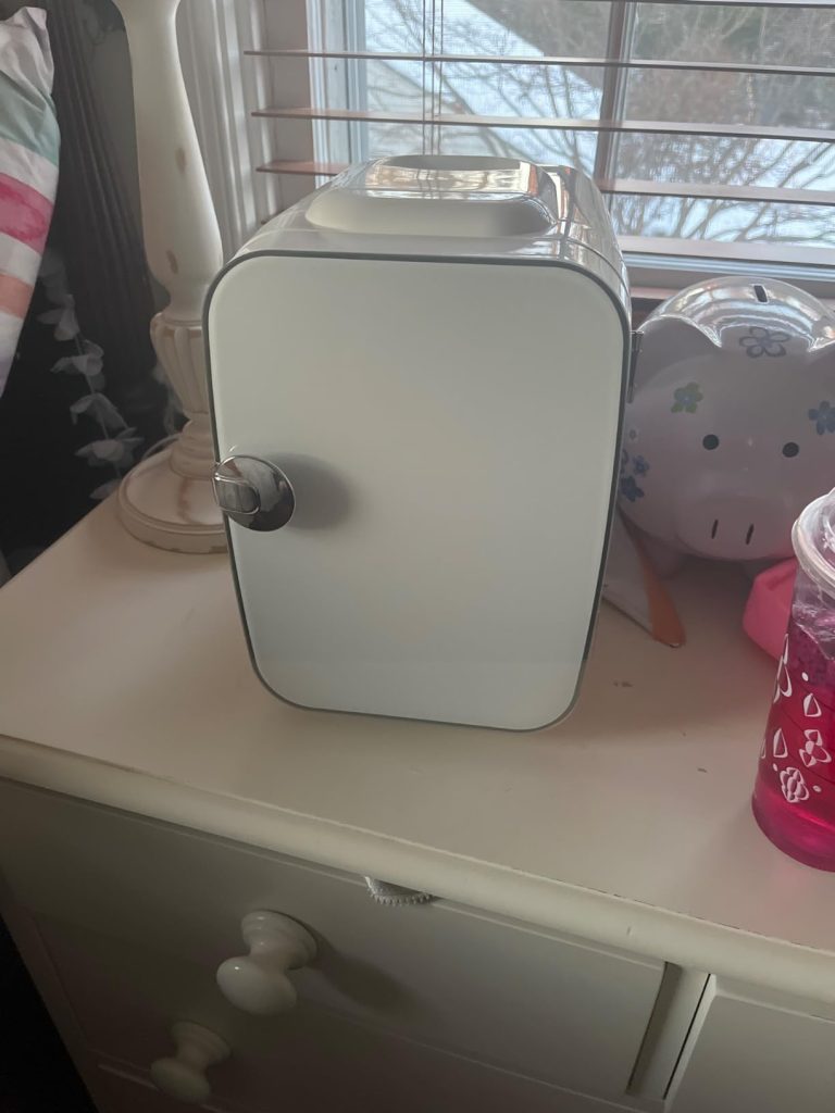 Sweetcrispy Portable Mini Refrigerator