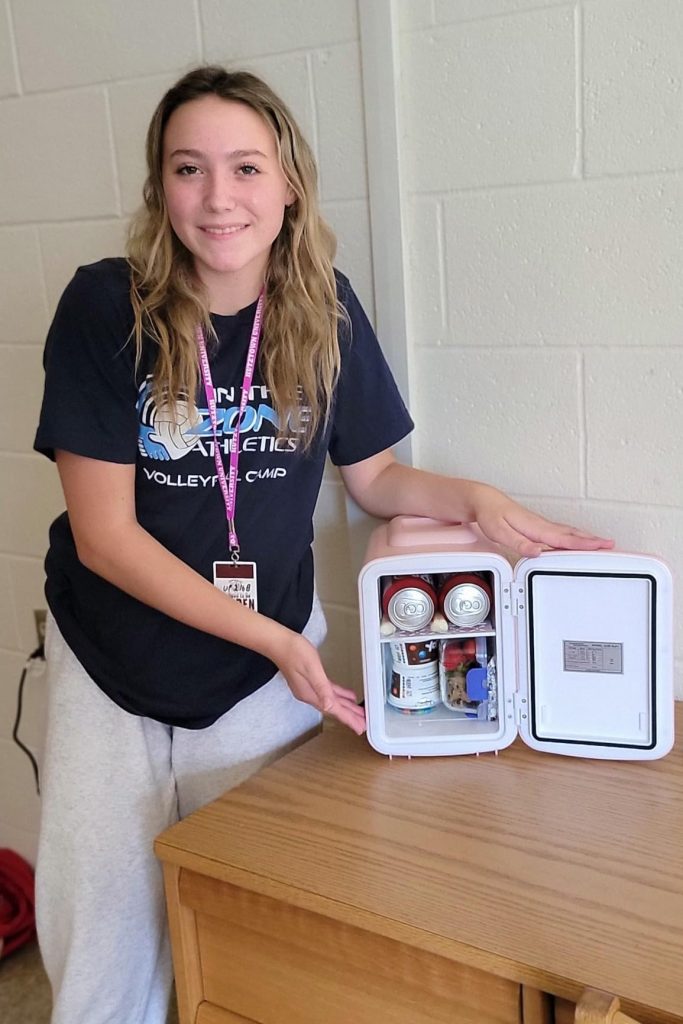 YSSOA 4L Mini Fridge for Food and Drinks