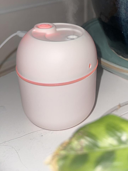 Portable Mini USB Humidifier