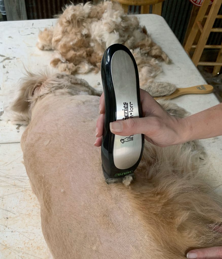 Wahl USA Lithium Ion Pro Series Cordless Animal Clippers