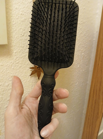 Amazon Basics Paddle Brush for Hair, Gentle Detangling