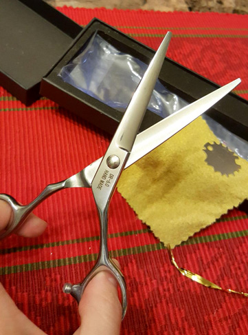 Dream Reach Professional Hair Cutting Scissors