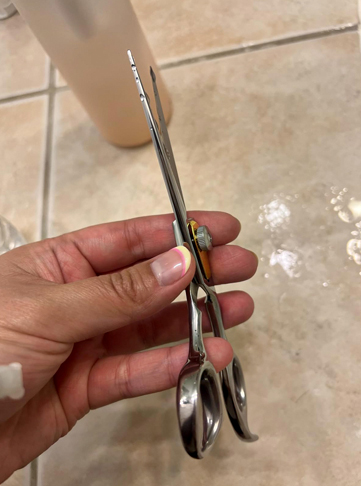 Equinox Professional Razor Edge Series Barber Hair Cutting Scissors