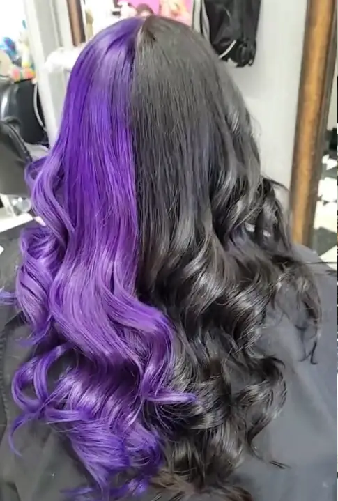 Black & Purple Split Hair
