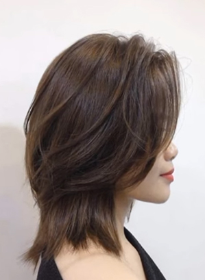 Korean-Style Layered Mullet Wolf Cut