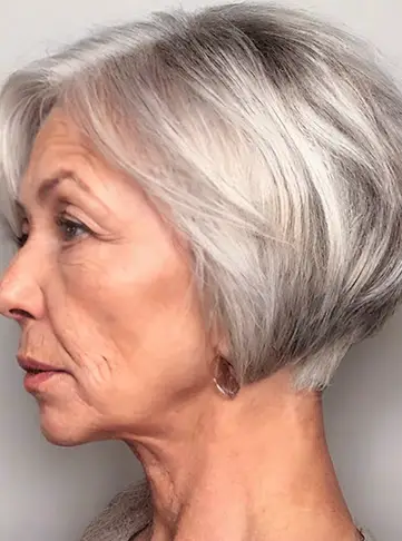 Stacked Gray Pixie Bob