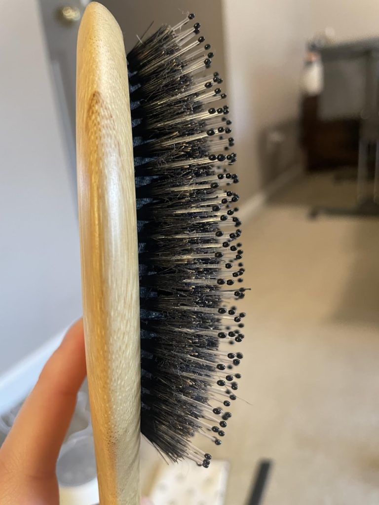 BESTOOL Boar Bristle Hair Brush for Wet/Dry Hair
