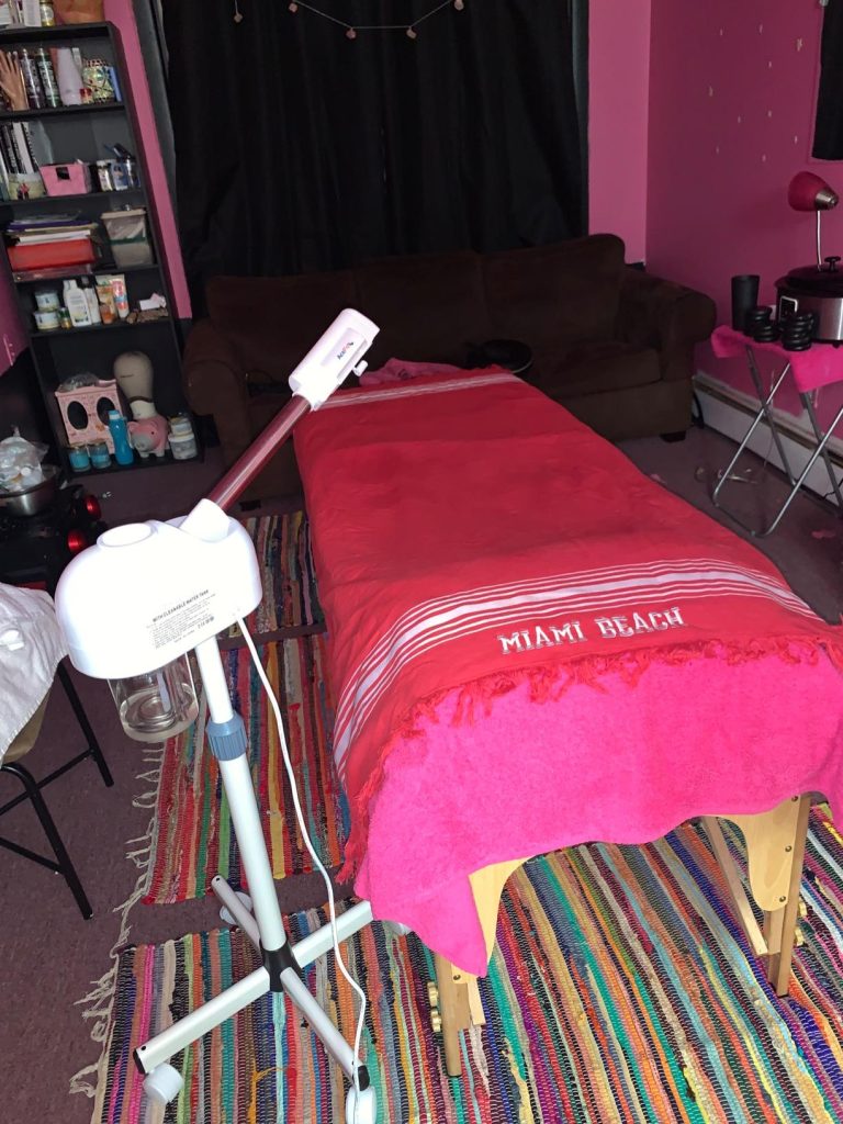 Professional Facial Steamer with Hot Mist Function