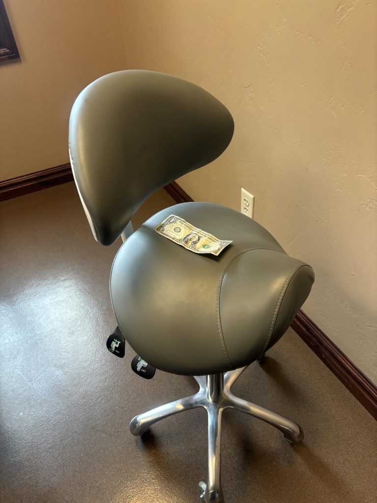 Saddle Stool Rolling Chair with Back Support, Esthetician Tattoo Dental Stool Chair