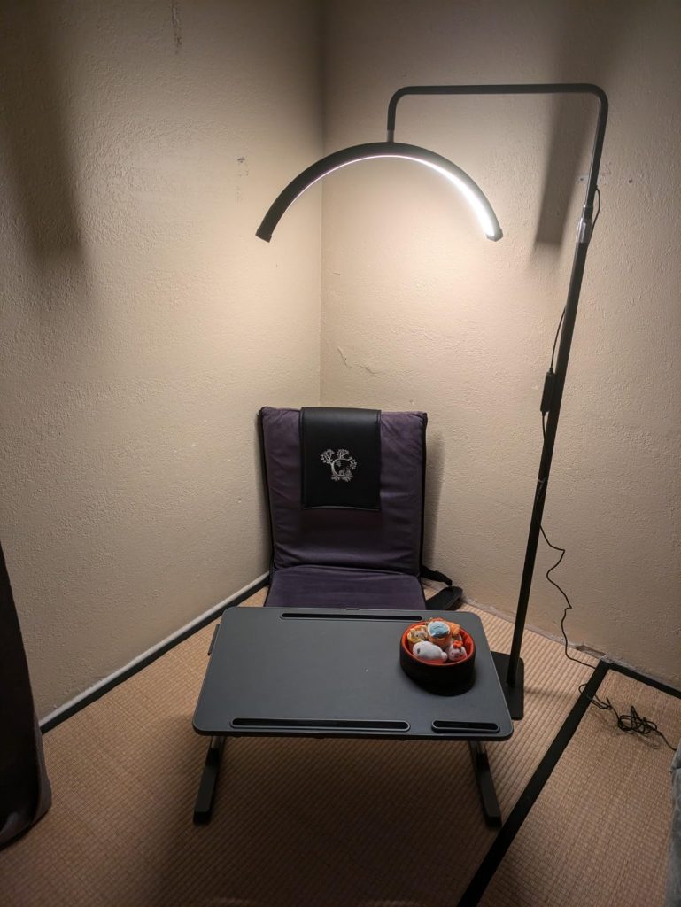 Half Moon Light 22-Inch LED Floor Lamp